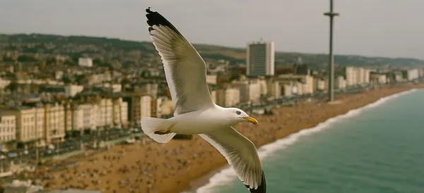 Headquarters office image